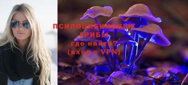 дурь Вяземский